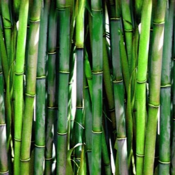 Bamboemassage